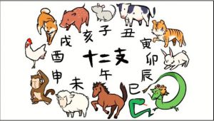 Trong 12 con giáp ở Trung Quốc, Mão là Thỏ