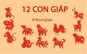 Mỗi con giáp sẽ có số may mắn khác nhau