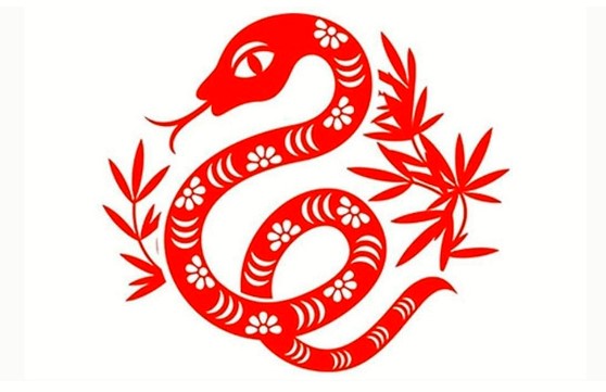 Hướng bếp tuổi Đinh Tỵ - Đại cát đại lợi
